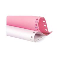 龙仕康 电脑打印纸 二联二等分 LSK241-2-2  1000页/箱 (单位:箱) 彩色