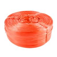 龙仕康 LSK2000 捆扎绳 2.5kg*2000m/卷(单位：卷) 红色