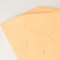 得力（deli） 25201 9号牛皮纸信封 40张（单包）324mm*229mm（单位：包）
