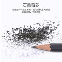 得力（deli） S998-6B 素描铅笔 6B（单位：盒）混色