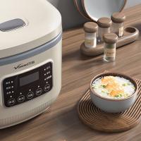 万和（Vanward） WZ-FB500-1 多功能电饭煲 5L（单位：个）