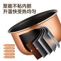 乐仕菲斯 RS-D1 电饭煲 3L （单位：台）