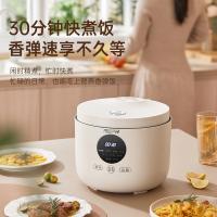 乐仕菲斯 RS-D1 电饭煲 3L （单位：台）