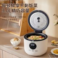 乐仕菲斯 RS-D1 电饭煲 3L （单位：台）