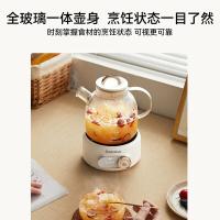 艾贝丽 ABL-YSH1368 多功能养生壶 1L（单位：台）白色