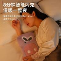 志高（CHIGO）ZJ-008 可拆卸兔毛绒充电热水袋 充电加热（单位：个）紫色菠萝吹雪