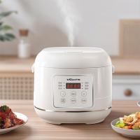 万和（Vanward） WZ-FB400-1 多功能电饭煲 4L（单位：个）