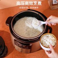 荣事达（Royalstar） YDG50-90A207（LB） 电压力锅 1000W 5.0L（单位：台）