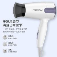 现代（HYUNDAI） YH1900 电吹风 可折叠便携1200W 白色（单位：个）