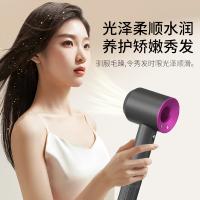 现代（HYUNDAI） YH6600 电吹风 1450-1600W 紫色（单位：个）