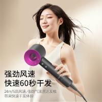 现代（HYUNDAI） YH6600 电吹风 1450-1600W 紫色（单位：个）