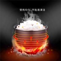 万和（Vanward） WZ-FB300-1 多功能西施煲机械款 3L（单位：个）