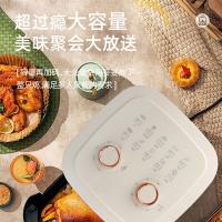 荣事达（Royalstar） RS-AF3716 空气炸锅 5L （单位：台）