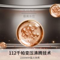 九阳（Joyoung） Y-50IHS15 电压力锅 5L（单位：台）