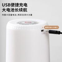 拜杰（BAIJIE） M19 桶装水取水器 4W（单位：个) 白色