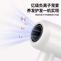 荣事达（Royalstar） RC-230X 高速电吹风机 1600-1800W（单位：个） 白金