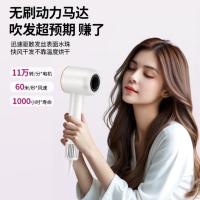 荣事达（Royalstar） RC-230X 高速电吹风机 1600-1800W（单位：个） 白金