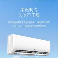 TCL KFR-35GW/JF1Ta+B1 新一级能效 变频冷暖 1.5匹 （单位:台）