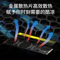 朗科（Netac）G901 固态硬盘 SSD 行业国产芯片 M.2接口(NVMe协议)  3300MB/s读速 512G （单位：个）
