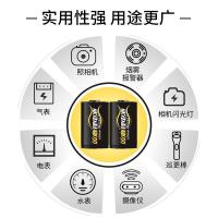 双鹿 CR123A-1B 锂电池 1粒/卡（单位：卡）