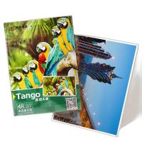 天章（TANGO） 高光 相纸 4R 6寸 230g 20张/包 （单位:包）