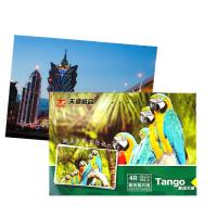 新绿天章 4R 6寸单面 230g 相纸 100张/包 （单位:包）
