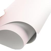 新绿天章 P95317 色卡纸 180G A4 100张/包 白色 (单位:包)