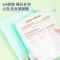 得力（deli） 72478 资料册 30页（单位：个）绿色