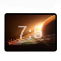 oppo 平板电脑 Pad 2 12GB+256GB (单位:台) 星云灰