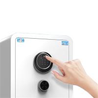 虎牌 保险柜 海棠系列 60cm密码款 长400mm宽360mm高600mm (单位:个) 颜色随机