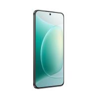 荣耀（ROVOS） 300 手机 16GB+512GB （单位：台） 墨岩黑