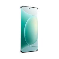 荣耀（HONOR） 智能手机 12GB+512GB全网通 300 6.7英寸 (单位:部) 茶卡青