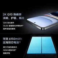 IQOO iQOO 13 5G智能手机 16GB+512GB 全网通 传奇版 (单位:台)