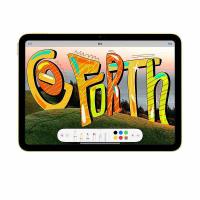 苹果（APPLE） iPad（第十代） 平板电脑  10.9英寸  256GB （单位：台）银色