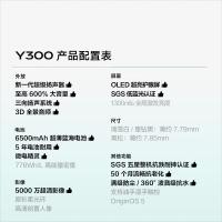 VIVO Y300 智能手机 12GB+256GB 瑞雪白 (单位:台)