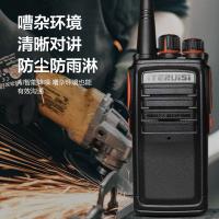 艾特瑞斯（iteruisi） T100 专业版 对讲机 3500mAh(单位：台)