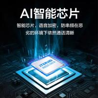 艾特瑞斯（iteruisi） T100 专业版 对讲机 3500mAh(单位：台)