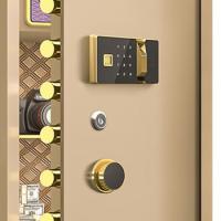 臻远 ZY-SY-276 全钢实心指纹款保险柜 55*50*120cm（单位：台）金色