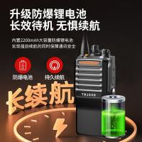 艾特瑞斯（iteruisi） TB100D 防爆对讲机 2200mAh(单位：台)