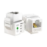 绿联（UGREEN）80184 电话语音模块 CAT3电话线面板模块 RJ11镀金4芯电话通信插座 电话线连接器 单个装（单位：个）