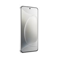 荣耀（HONOR） 智能手机 12GB+256GB全网通 300 6.7英寸 (单位:部) 玉龙雪