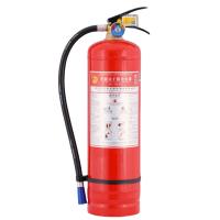 神龙 MF/ABCE4 手提式干粉灭火器 2025年新国标 4kg 红色（单位： 个）
