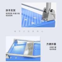 艾逸瑶选 塑料 平板小推车 载重300kg 90*60cm(单位：台) 蓝色
