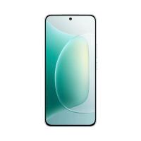 荣耀（ROVOS） 300 手机 16GB+512GB （单位：台） 茶卡青