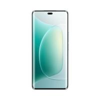 荣耀（ROVOS） 300pro 手机 12GB+256GB （单位：台）茶卡青