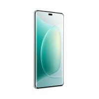 荣耀（ROVOS） 300pro 手机 12GB+256GB （单位：台）茶卡青