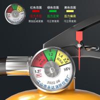 浙安广消 MFZ/D3 灭火器 3kg （单位:只）