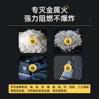 浙安广消 MFZ/D2 灭火器 2kg （单位:只）
