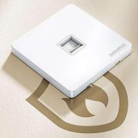 山泽（SAMZHE） WAN-01 单口电脑插座面板 86*86*9mm  (单位：个 )象牙白