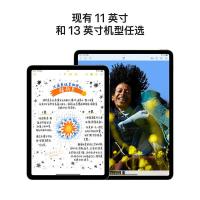 苹果（APPLE） iPad Air(MUY03CH/A) 2024年新款平板电脑 11英寸 M2芯片 (Air6/128G eSIM版） （单位：台） 紫色